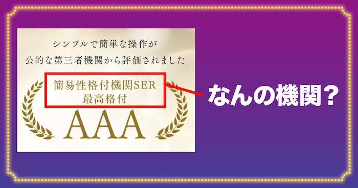 簡易性格付機関SERがなんの機関かわからない