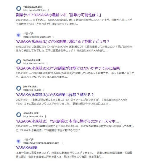 【永森航汰】株式会社YASAKAの副業内容とは